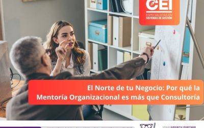 El Norte de tu Negocio: Por qué la Mentoría Organizacional es más que Consultoría